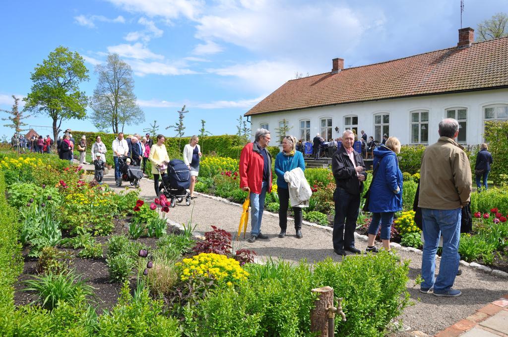 Svabesholms Kungsgards B&B Och Pensionat Stenshuvud Kivik Buitenkant foto